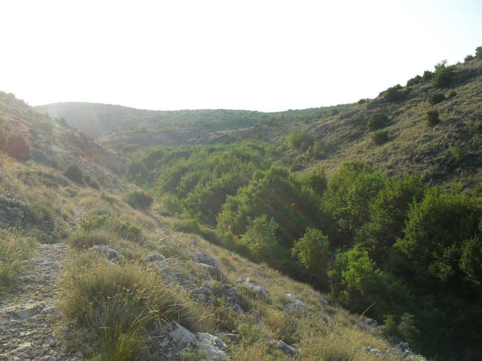 Vrbnik, julij 2011 - foto povečava