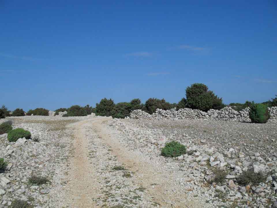 Vrbnik, julij 2011 - foto povečava