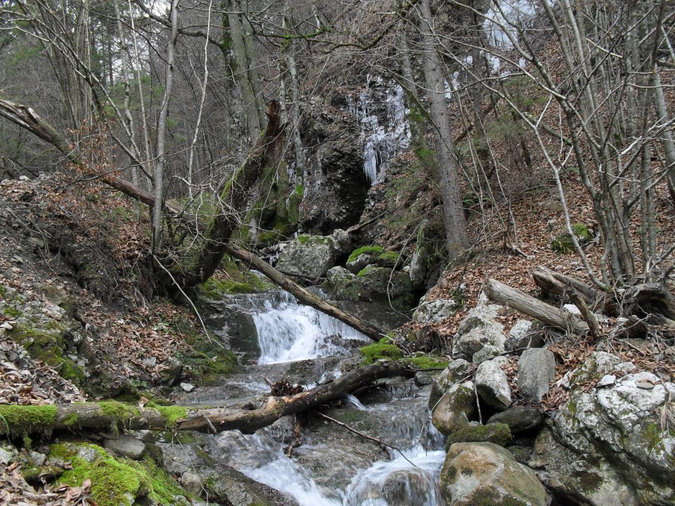 Novoletni prazniki 2012 - foto povečava