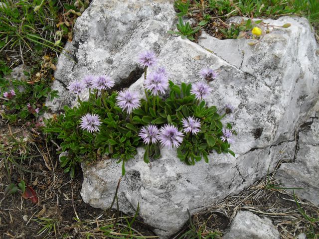 Krožna tura na dan državnosti 2012 - foto