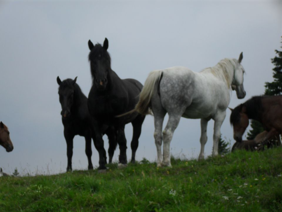 Krožna tura na dan državnosti 2012 - foto povečava