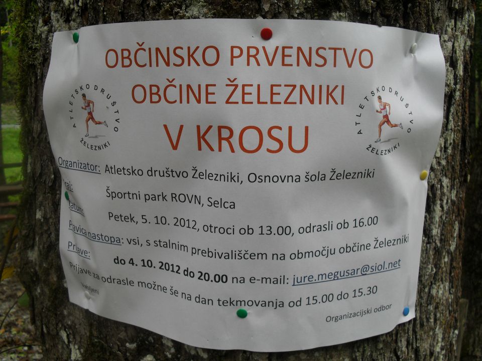 Občinsko prvenstvo v krosu, Selca, 5.10.2012 - foto povečava