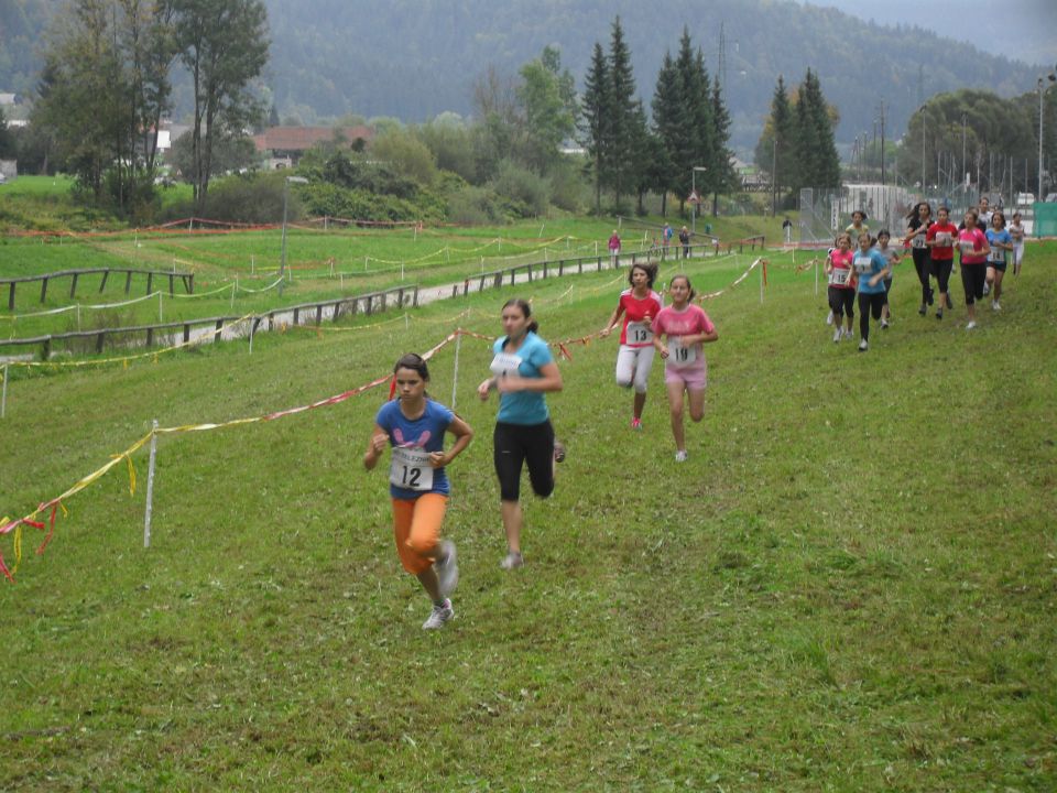 Občinsko prvenstvo v krosu, Selca, 5.10.2012 - foto povečava