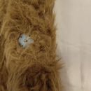Gumbki se zapirajo na magnet