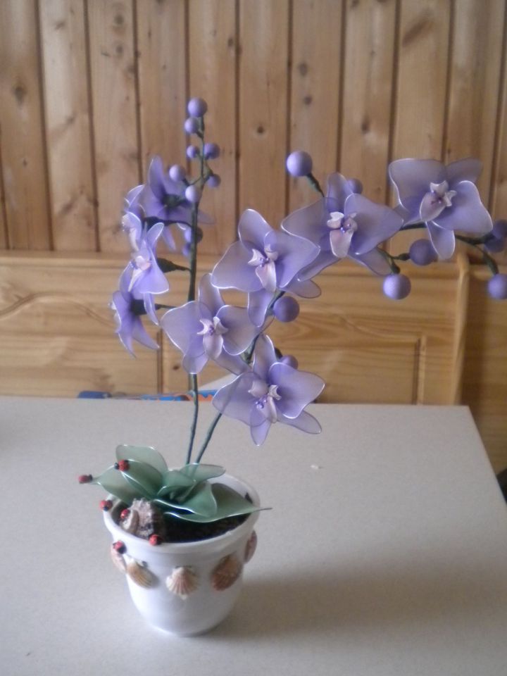 orhideja