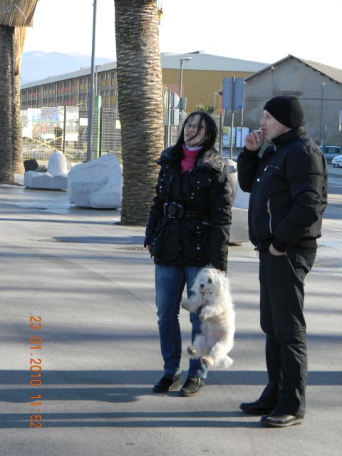 Primorska 23.1.2011 - foto