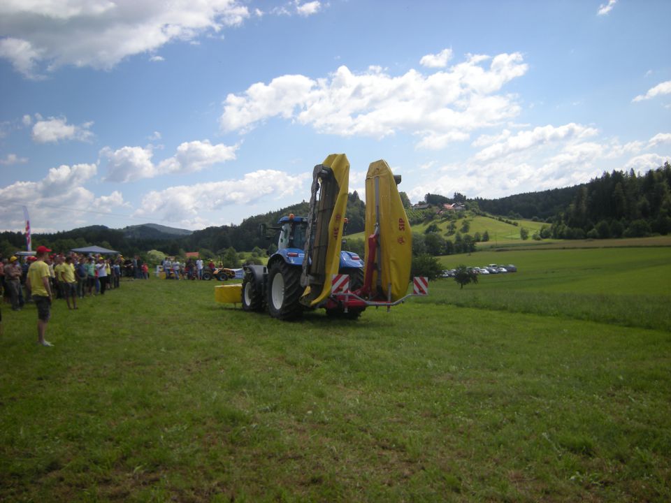 PIKNIK DTF 2011 - foto povečava