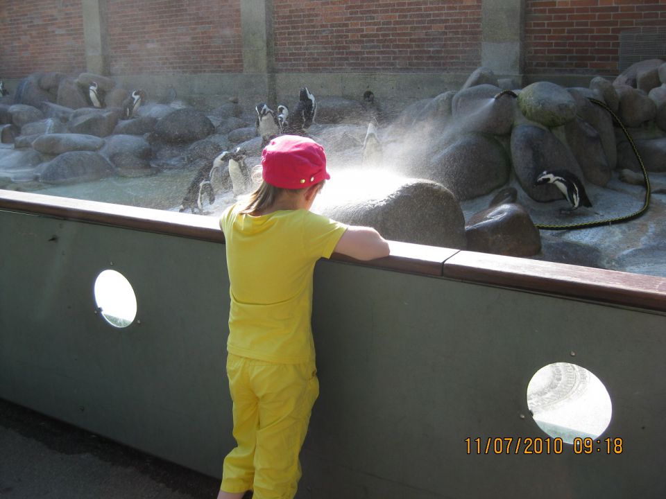 Zoo stutgart - foto povečava