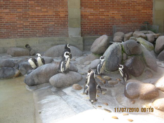 Zoo stutgart - foto