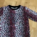 Guess 12 let, 12 evrov