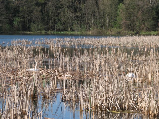 Kolesarski izlet na Ptujsko goro 17.4.11 - foto povečava