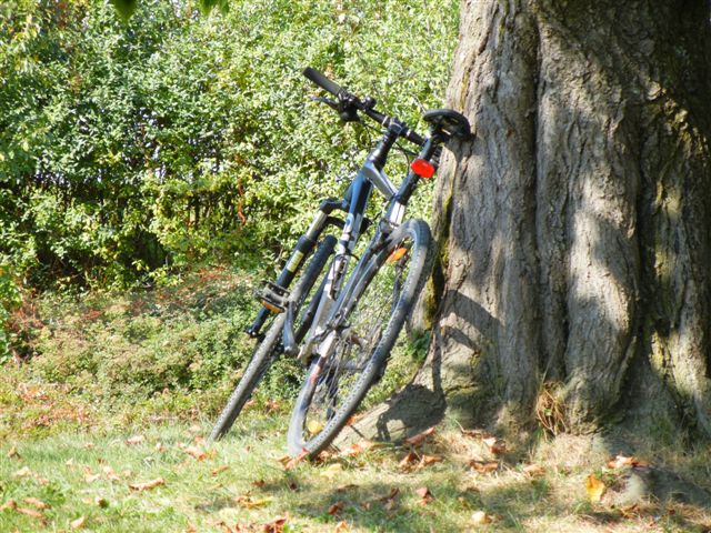 S kolesom na Ptuj 2011 - foto povečava