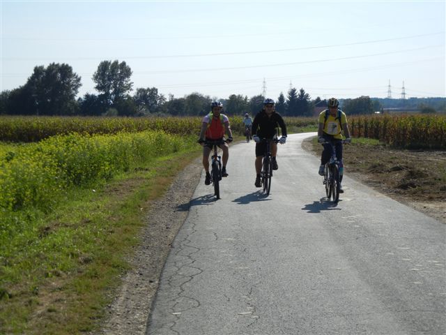 S kolesom na Ptuj 2011 - foto