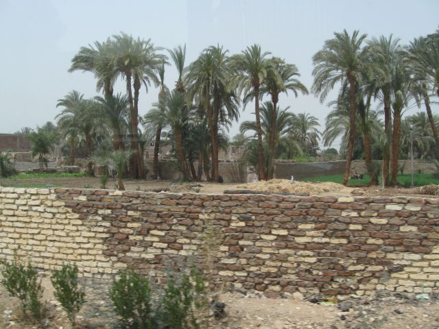 EGIPT 1 - foto