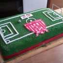 nogometno igrišče torta