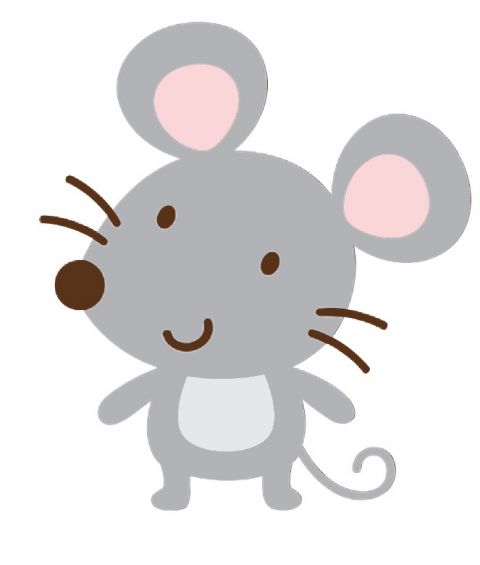 Miš