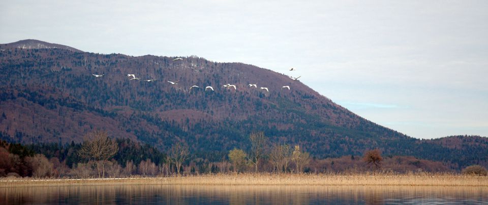 Fotke... - foto povečava