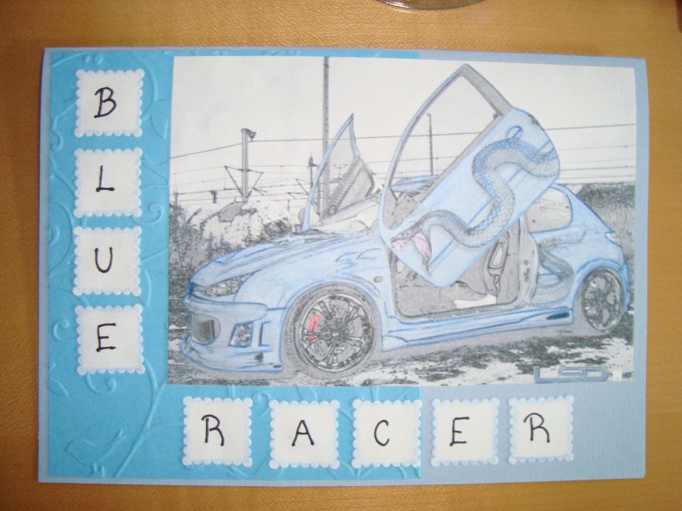 blue racer