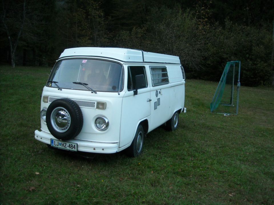 Kost. piknik Kamniška bistrica 2011 - foto povečava