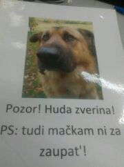 Razno - foto povečava