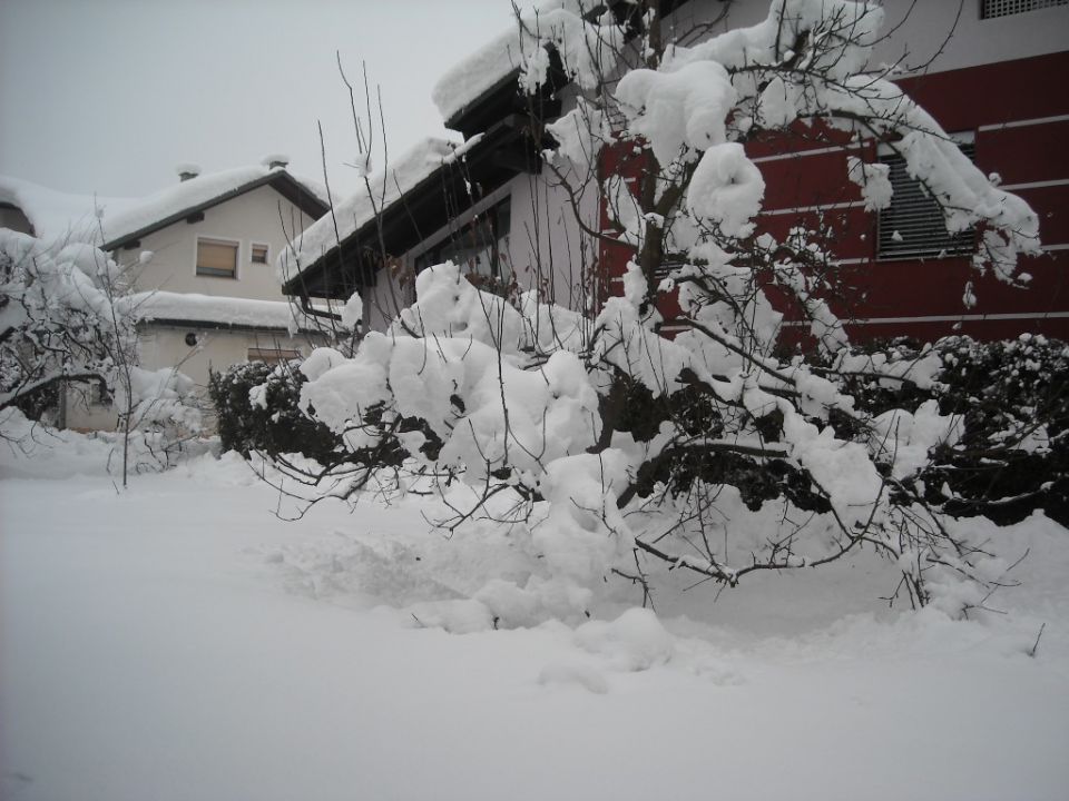 Zima 2013 - foto povečava