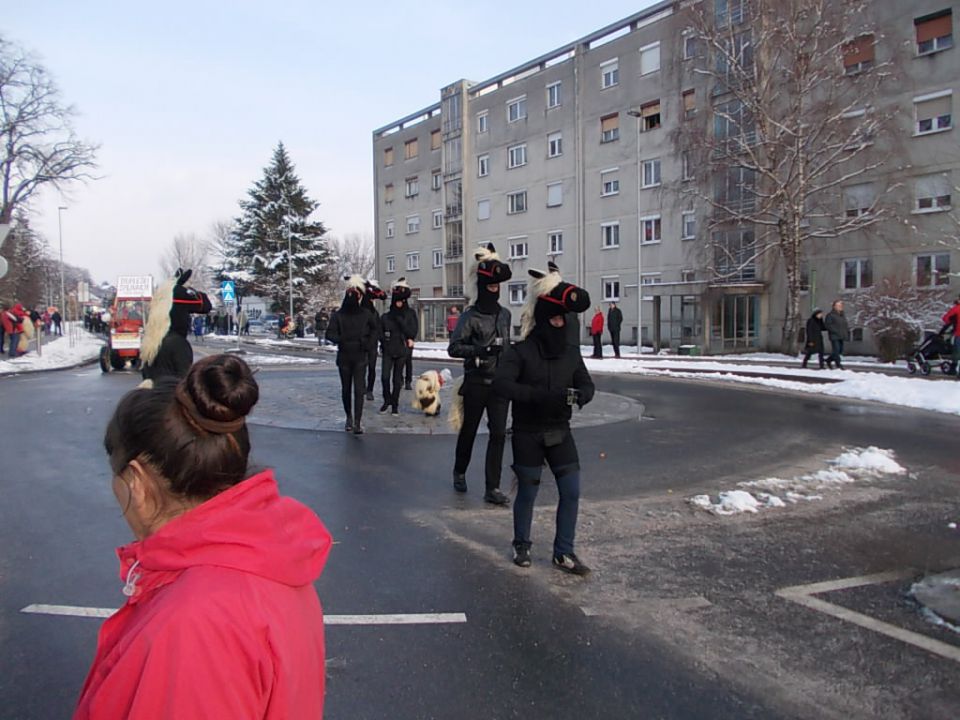 Pustni karneval Ptuj - foto povečava