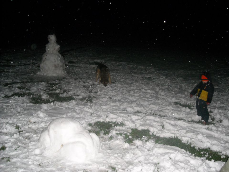 Zima 2014/2015 - foto povečava