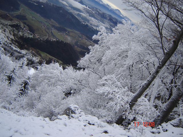 Kislica- december 2011 - foto