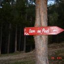 Peca - 28.4.12