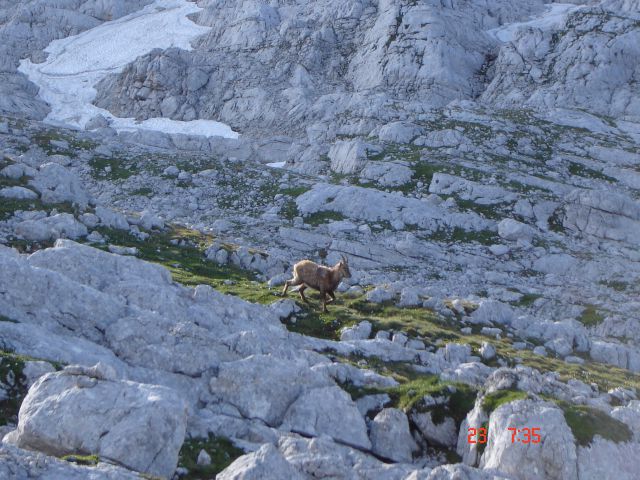 Triglav-23.6.12 - foto