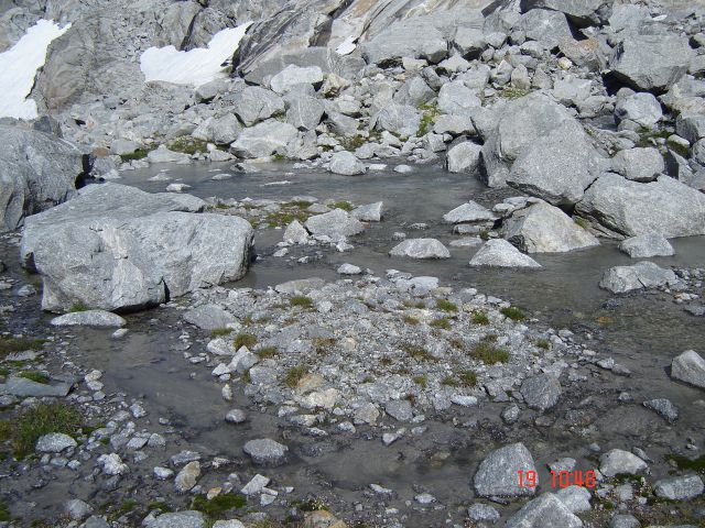 Hochalmspitze-19.8.12(3360m) - foto