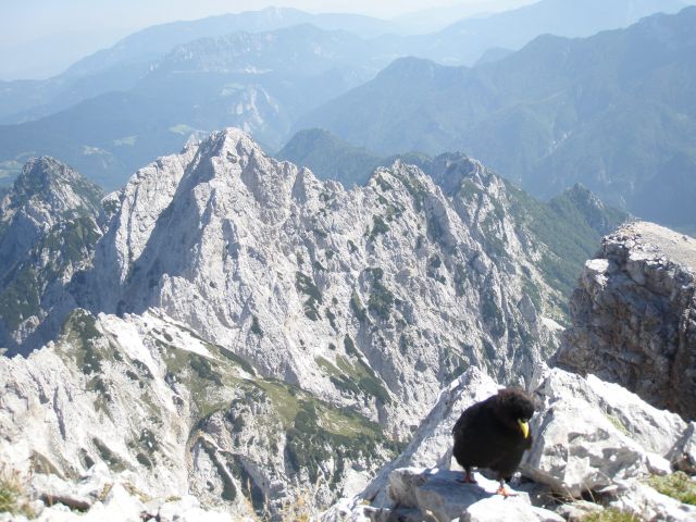 Jezersko,K.rinka,M.gora,Storžek(25.8.12) - foto