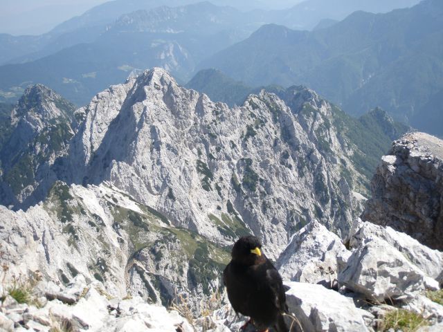 Jezersko,K.rinka,M.gora,Storžek(25.8.12) - foto