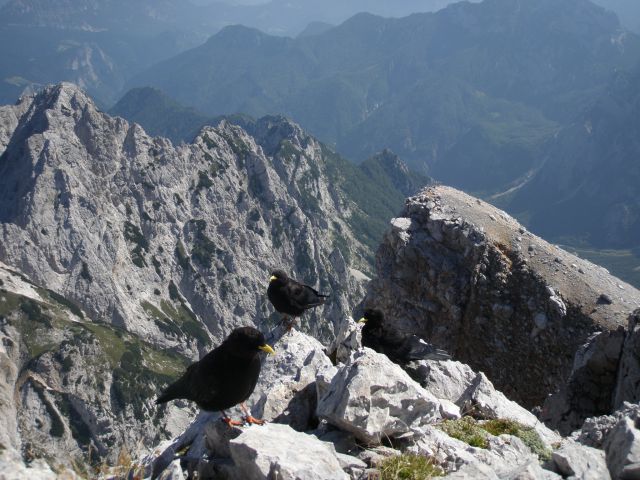 Jezersko,K.rinka,M.gora,Storžek(25.8.12) - foto