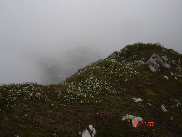 Debela peč(Stašy in Tjašy) - foto