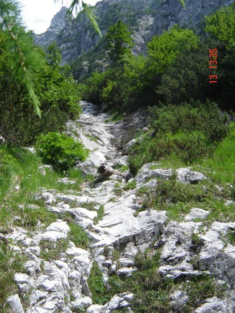 Debela peč(Stašy in Tjašy) - foto