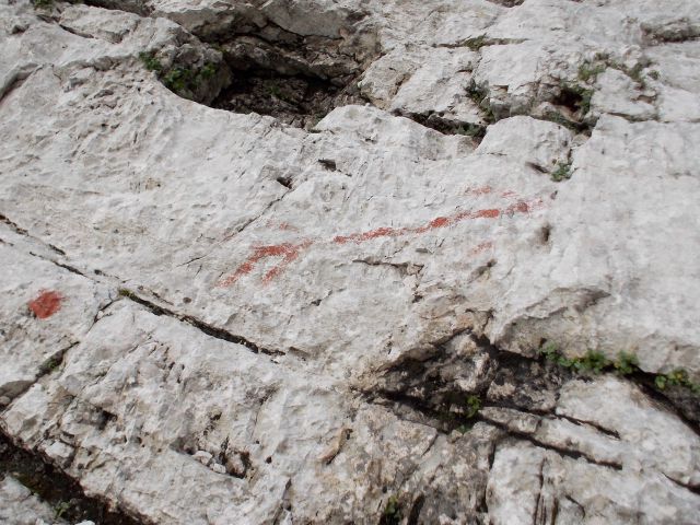 Via della Vita-Strug-V.Ponca(31.8.13) - foto