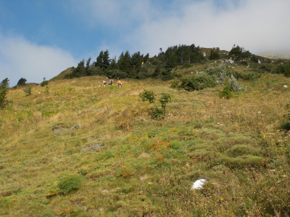 20.gorski tek na Črno prst (7.9.13) - foto povečava