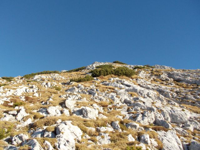 Daljša gorska trail etapa (26.10.13) - foto