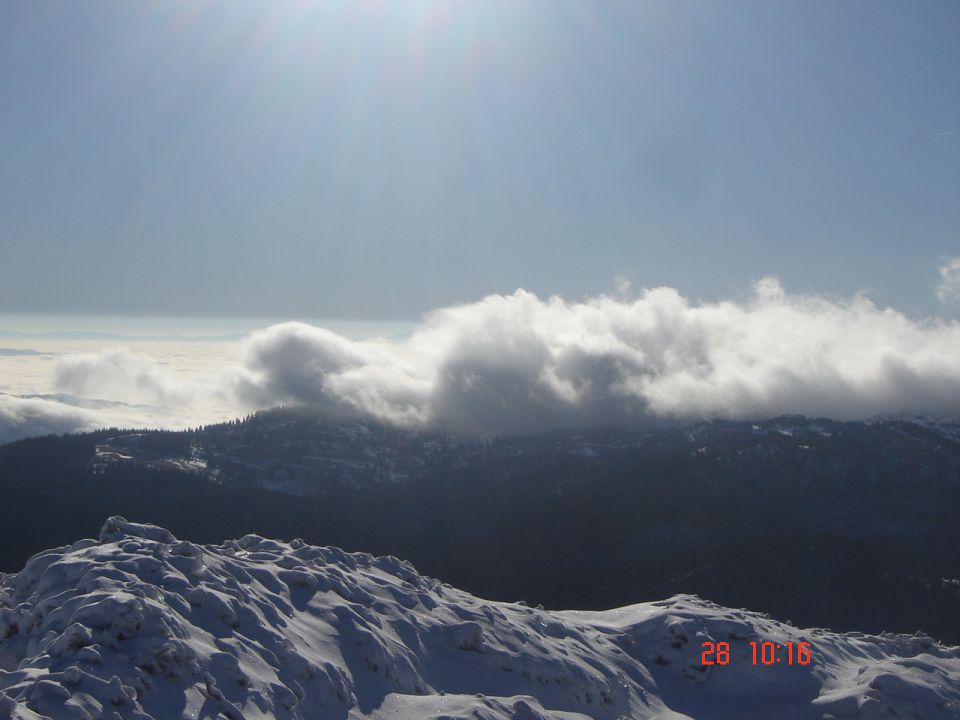 Presedljaj-Konj-Orglice (28.12.13) - foto povečava