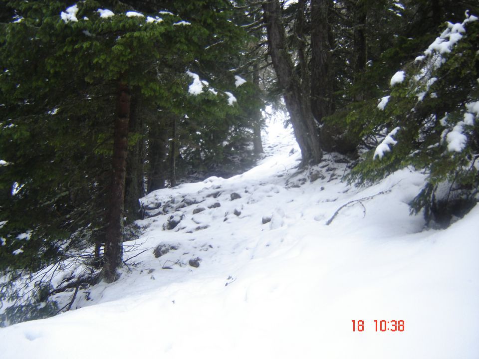 Deževno snežna Raduha (18.1.14) - foto povečava