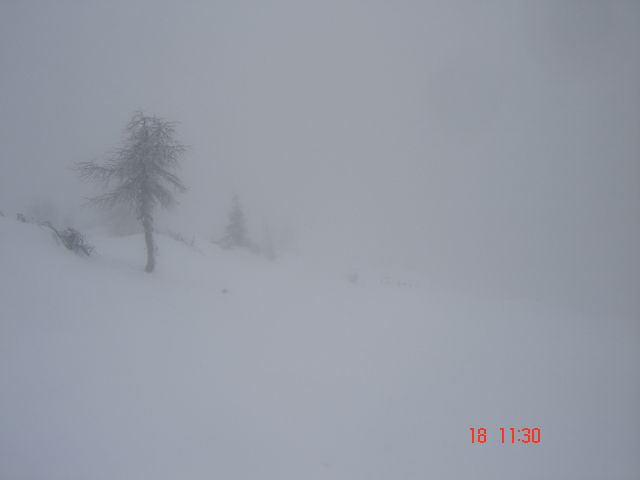 Deževno snežna Raduha (18.1.14) - foto