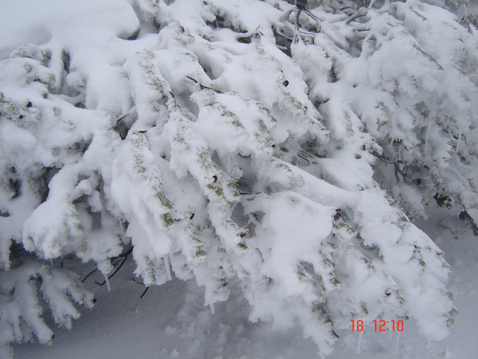 Deževno snežna Raduha (18.1.14) - foto povečava
