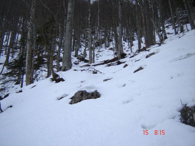 Kr.hrib - Dol - Gradišče (15.2.14) - foto