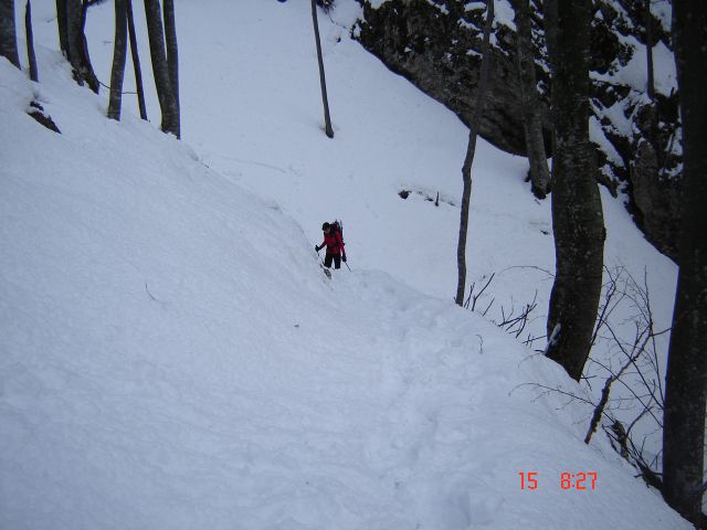 Kr.hrib - Dol - Gradišče (15.2.14) - foto