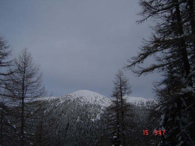 Kr.hrib - Dol - Gradišče (15.2.14) - foto