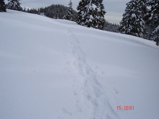 Kr.hrib - Dol - Gradišče (15.2.14) - foto