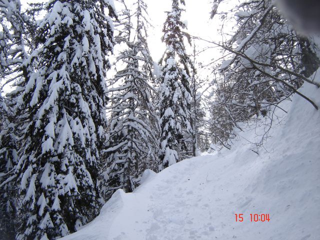 Kr.hrib - Dol - Gradišče (15.2.14) - foto