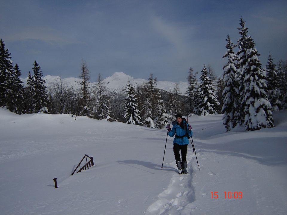 Kr.hrib - Dol - Gradišče (15.2.14) - foto povečava