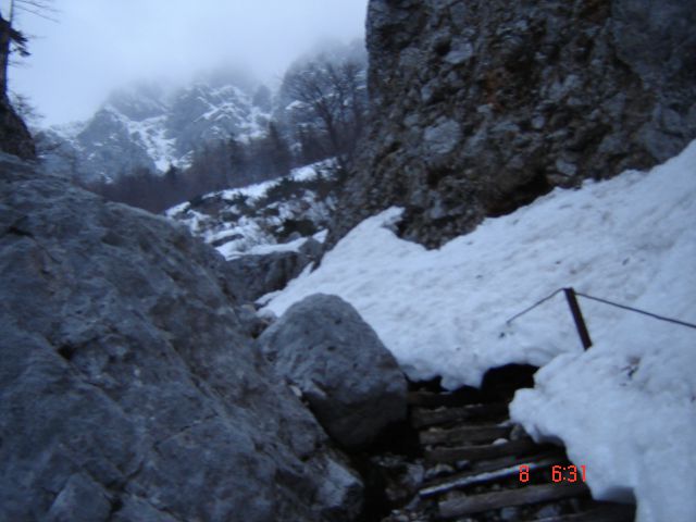 Kranj.(JZ)-Kor.-Št.-bivak in T.gora (8.3.14) - foto